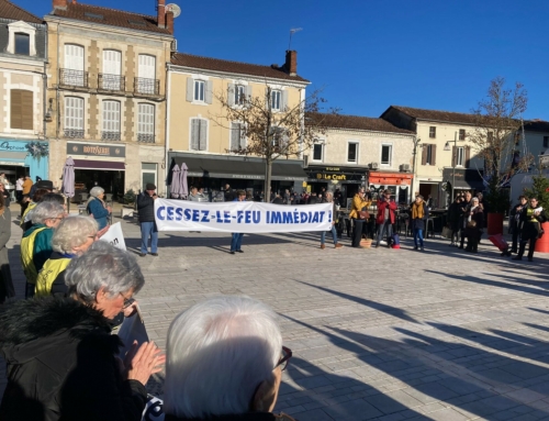 Palestine : la FSU continue de se mobiliser pour un cessez-le-feu immédiat